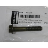 FLANGE SCREW